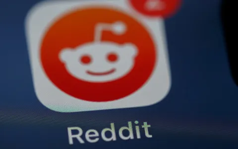 reddit no onlyfans