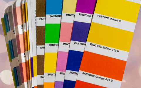 Paleta de cores Pantone
