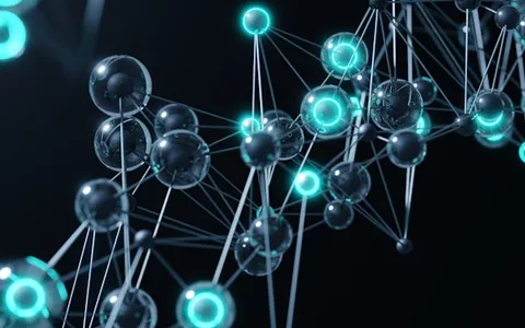 Networking, afiliados e indicações
