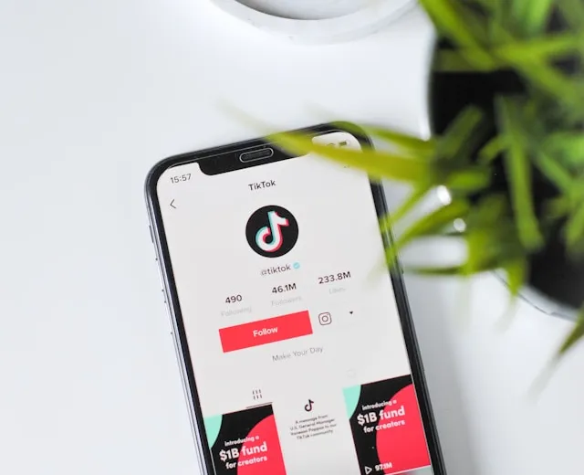 tiktok para onlyfans